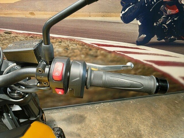 2025 TRIUMPH TRIDENT 660 (LAMS) ROAD