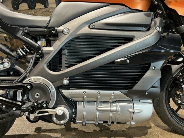 2020 HARLEY-DAVIDSON LIVEWIRE ROAD