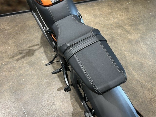 2020 HARLEY-DAVIDSON LIVEWIRE ROAD