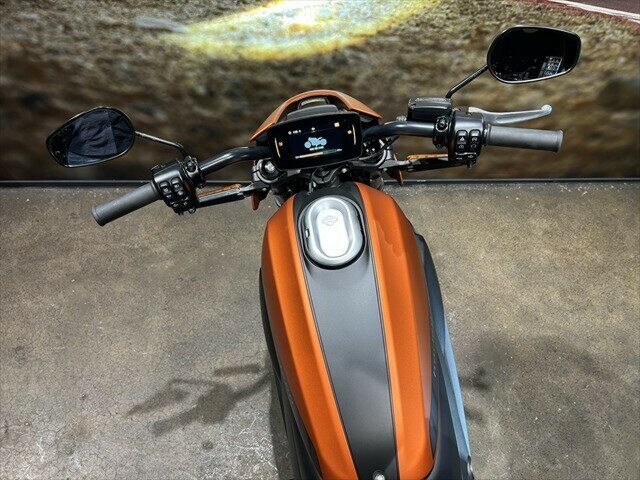 2020 HARLEY-DAVIDSON LIVEWIRE ROAD
