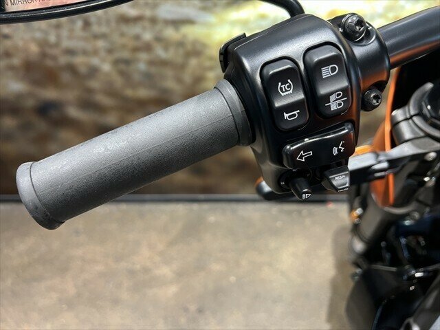 2020 HARLEY-DAVIDSON LIVEWIRE ROAD