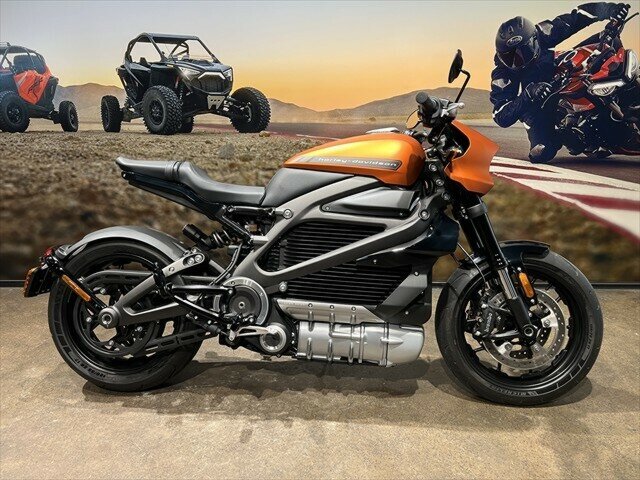 2020 HARLEY-DAVIDSON LIVEWIRE ROAD