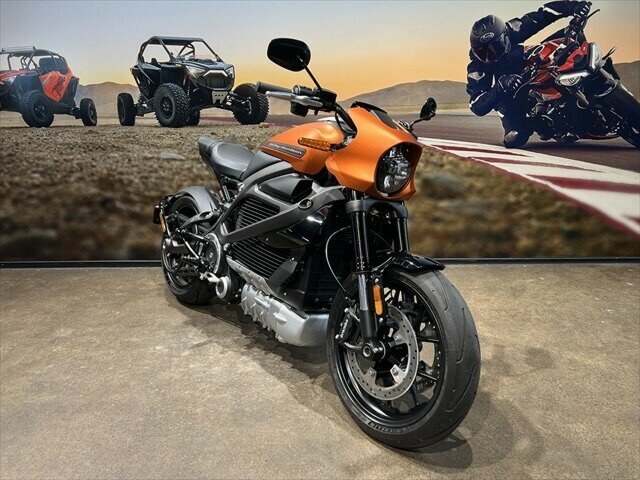 2020 HARLEY-DAVIDSON LIVEWIRE ROAD