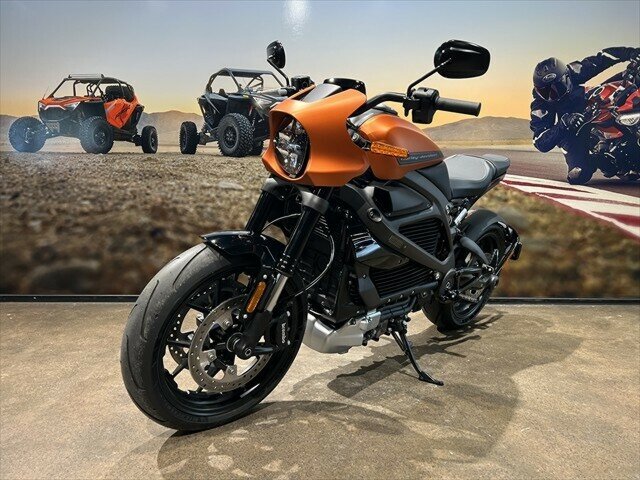 2020 HARLEY-DAVIDSON LIVEWIRE ROAD