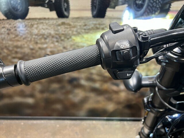 2018 HARLEY-DAVIDSON XG750A STREET ROD CRUISER