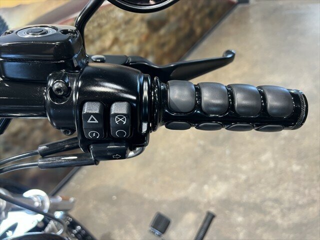2015 HARLEY-DAVIDSON FXDWG WIDE GLIDE CRUISER
