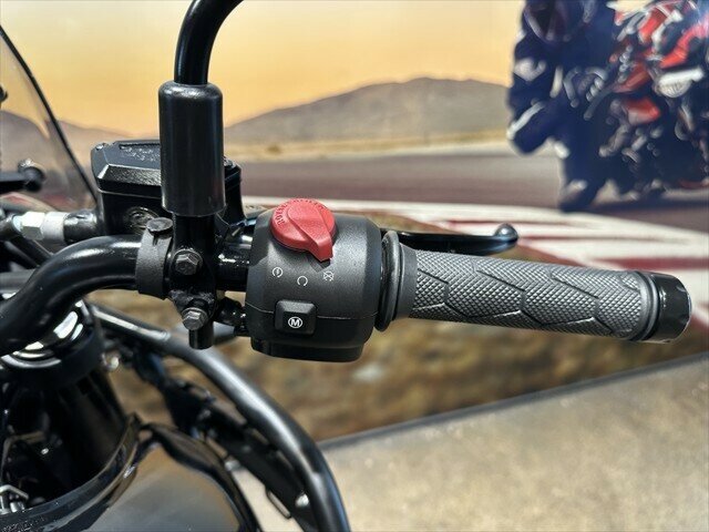 2024 ROYAL ENFIELD HIMALAYAN 450 ROAD
