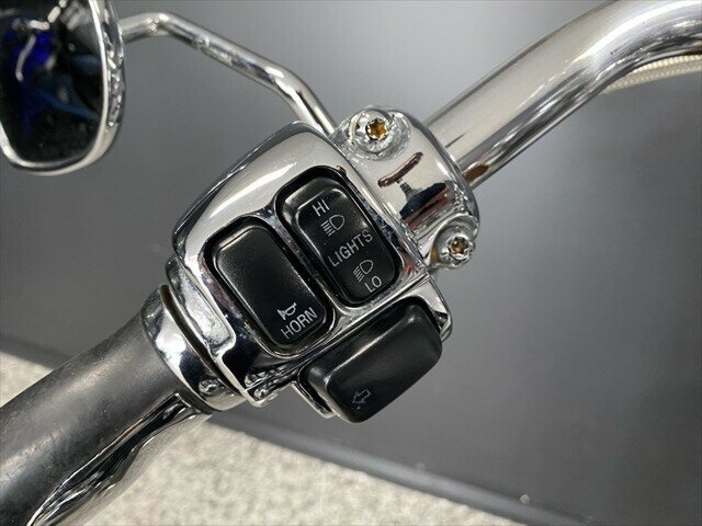 2007 HARLEY-DAVIDSON FLSTN SOFTAIL DELUXE CRUISER