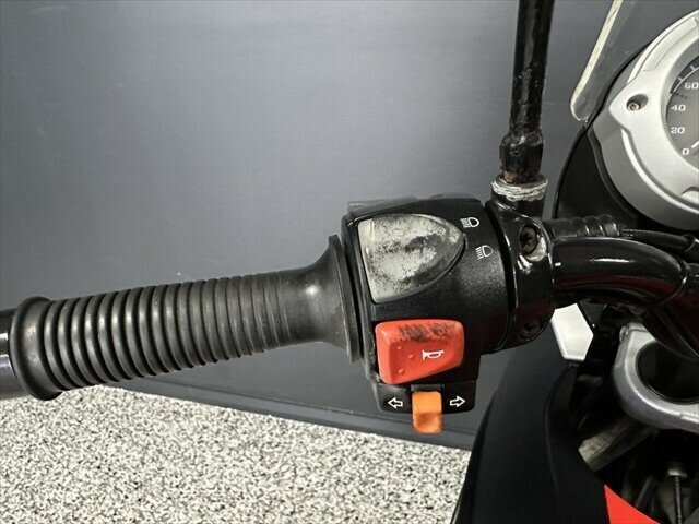 2009 BMW F 650 GS DUAL SPORTS