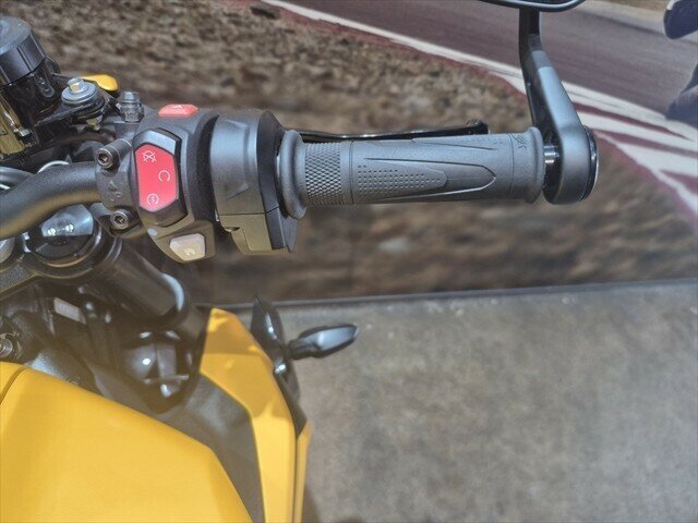 2025 TRIUMPH STREET TRIPLE RS ROAD