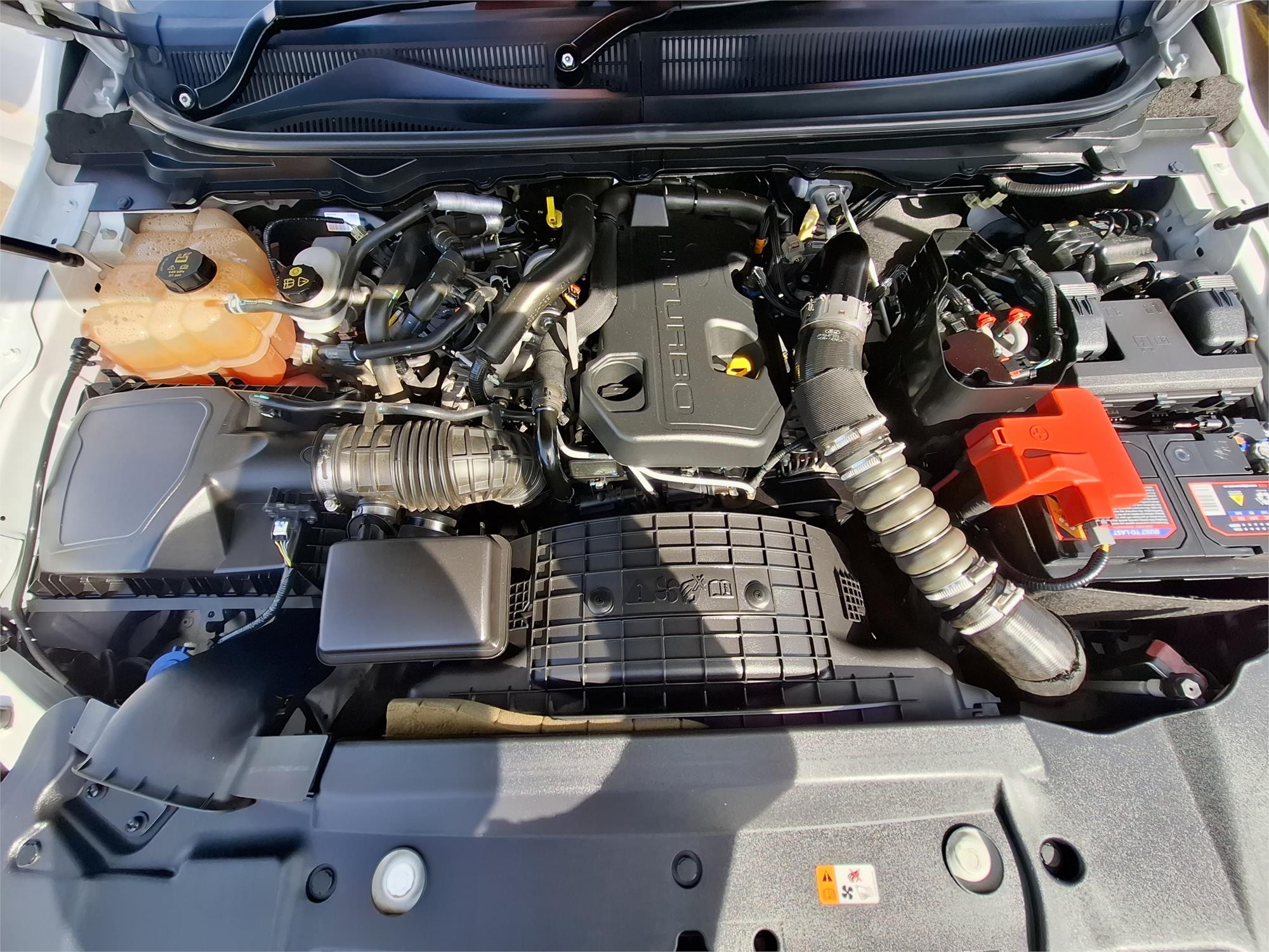 2018 FORD RANGER PX MKIII WILDTRAK AUTOMATIC UTILITY