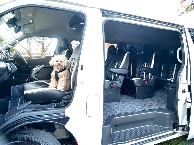 2020 TOYOTA HIACE TRH219R MY20 UPGRADE AUTOMATIC BUS