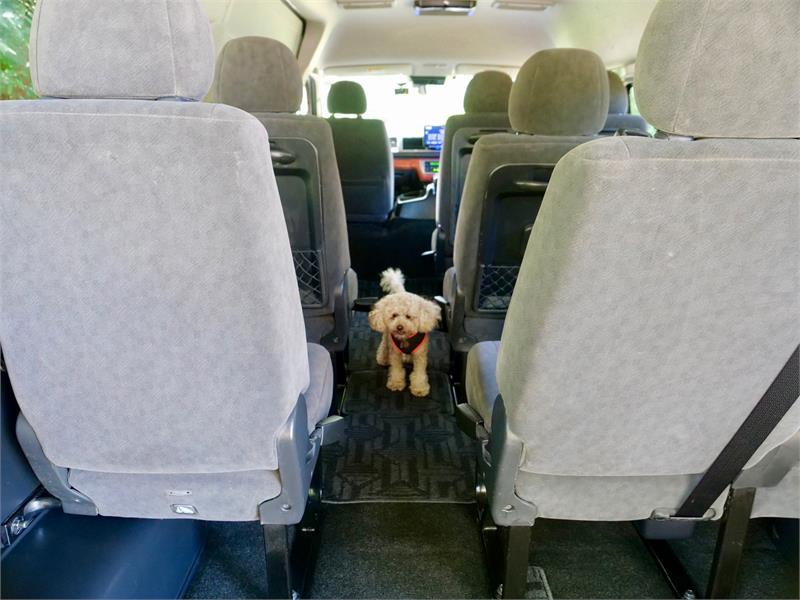 2018 TOYOTA HIACE TRH229 GRAND CABIN WAGON