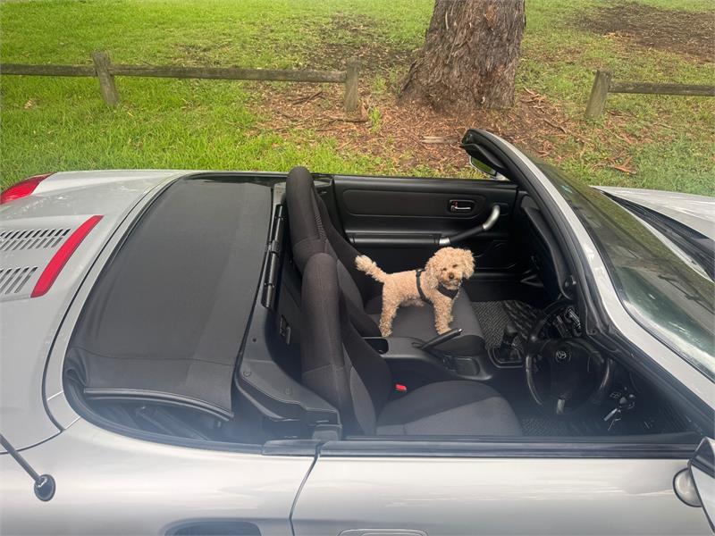 1999 TOYOTA MR-S MANUAL CONVERTIBLE