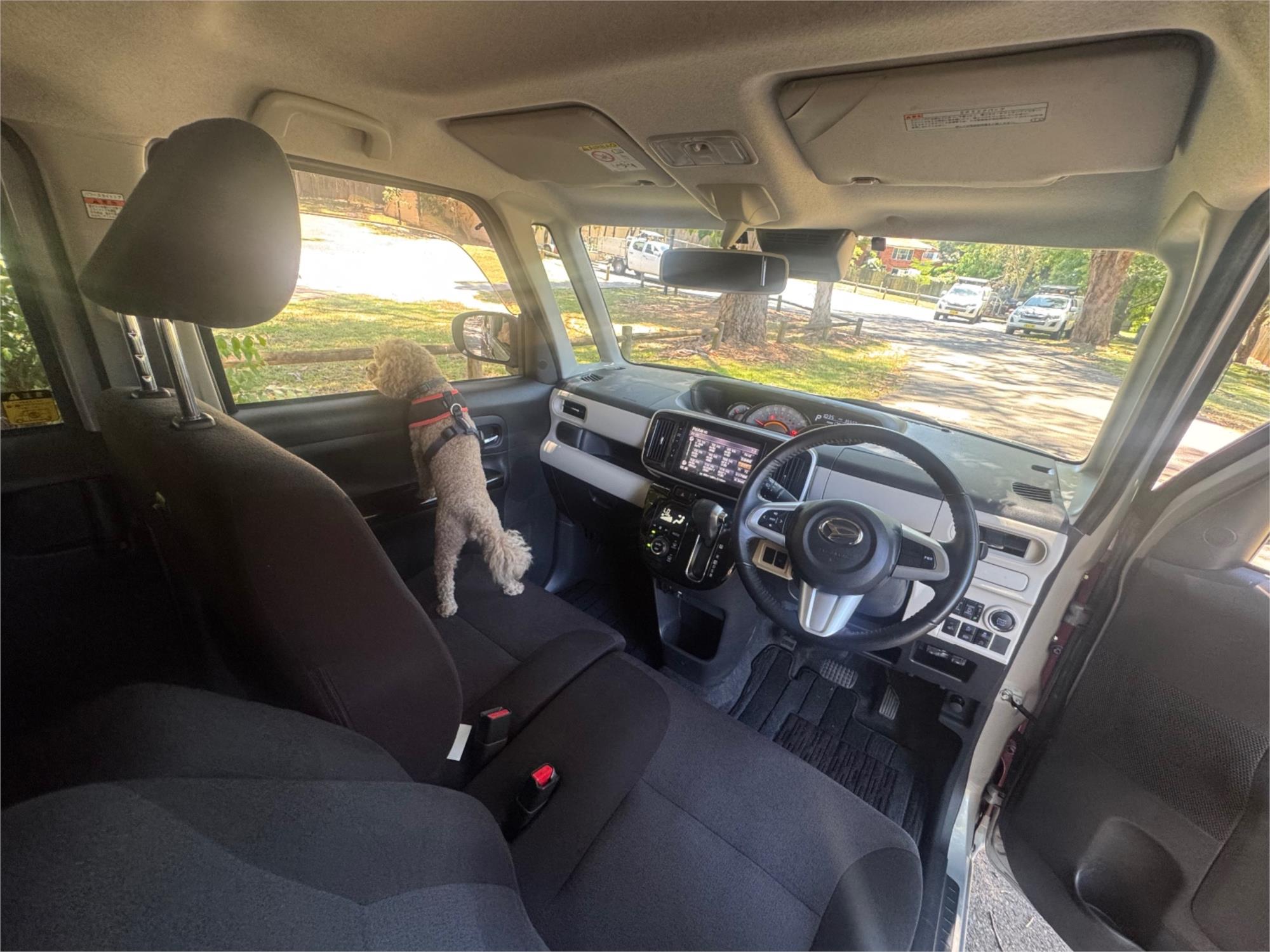 2021 DAIHATSU MOVE CANBUS AUTOMATIC MICRO BUS