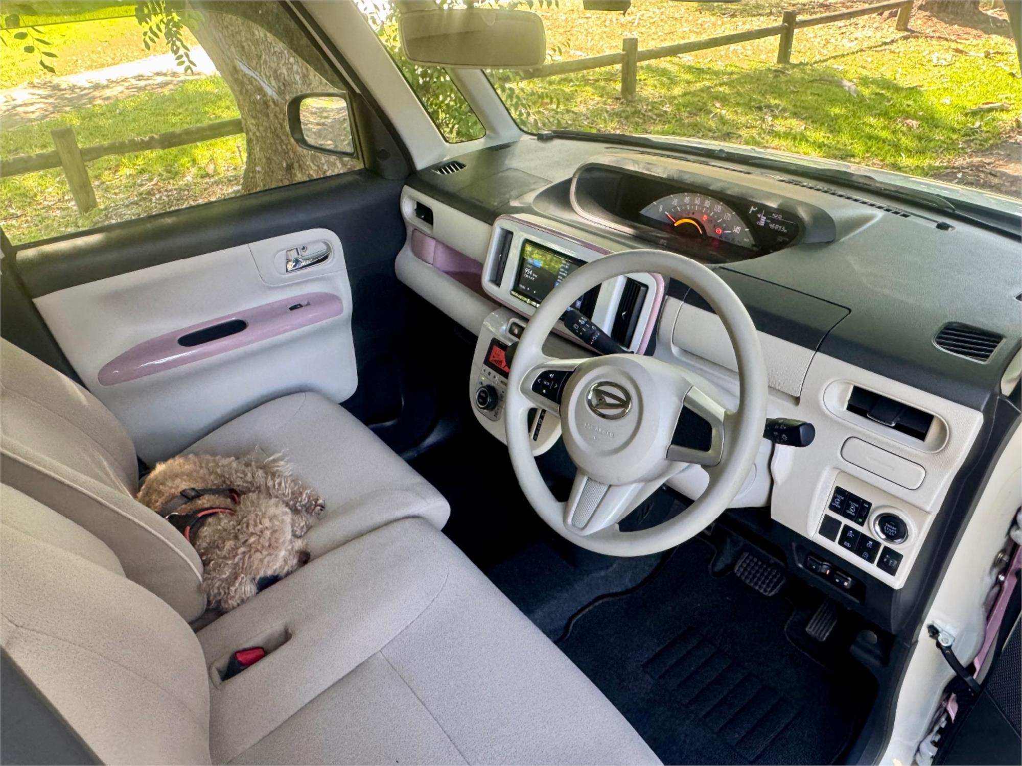 2020 DAIHATSU MOVE CANBUS AUTOMATIC MICRO BUS