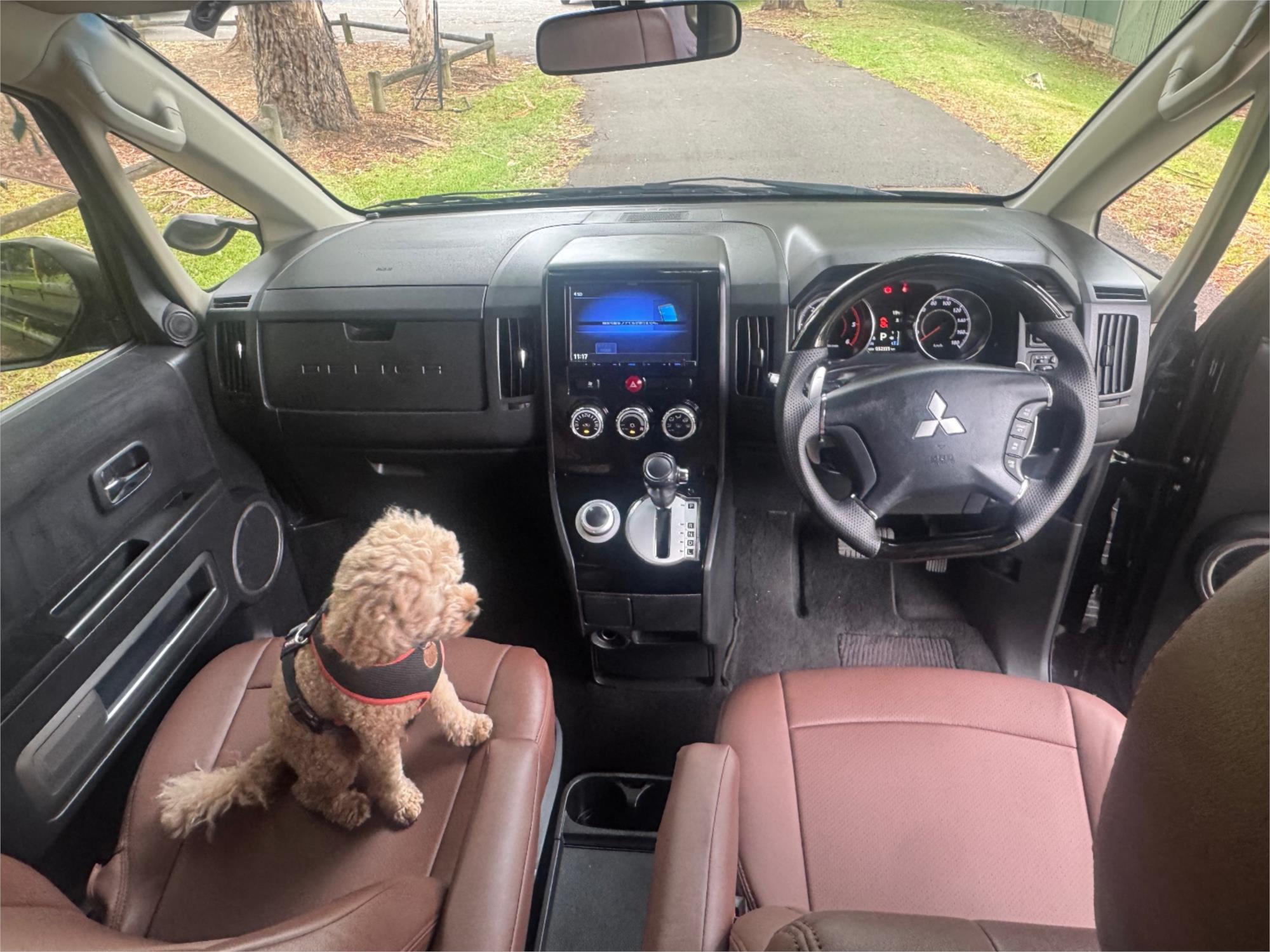2019 MITSUBISHI DELICA CV1W G 8 SP AUTOMATIC