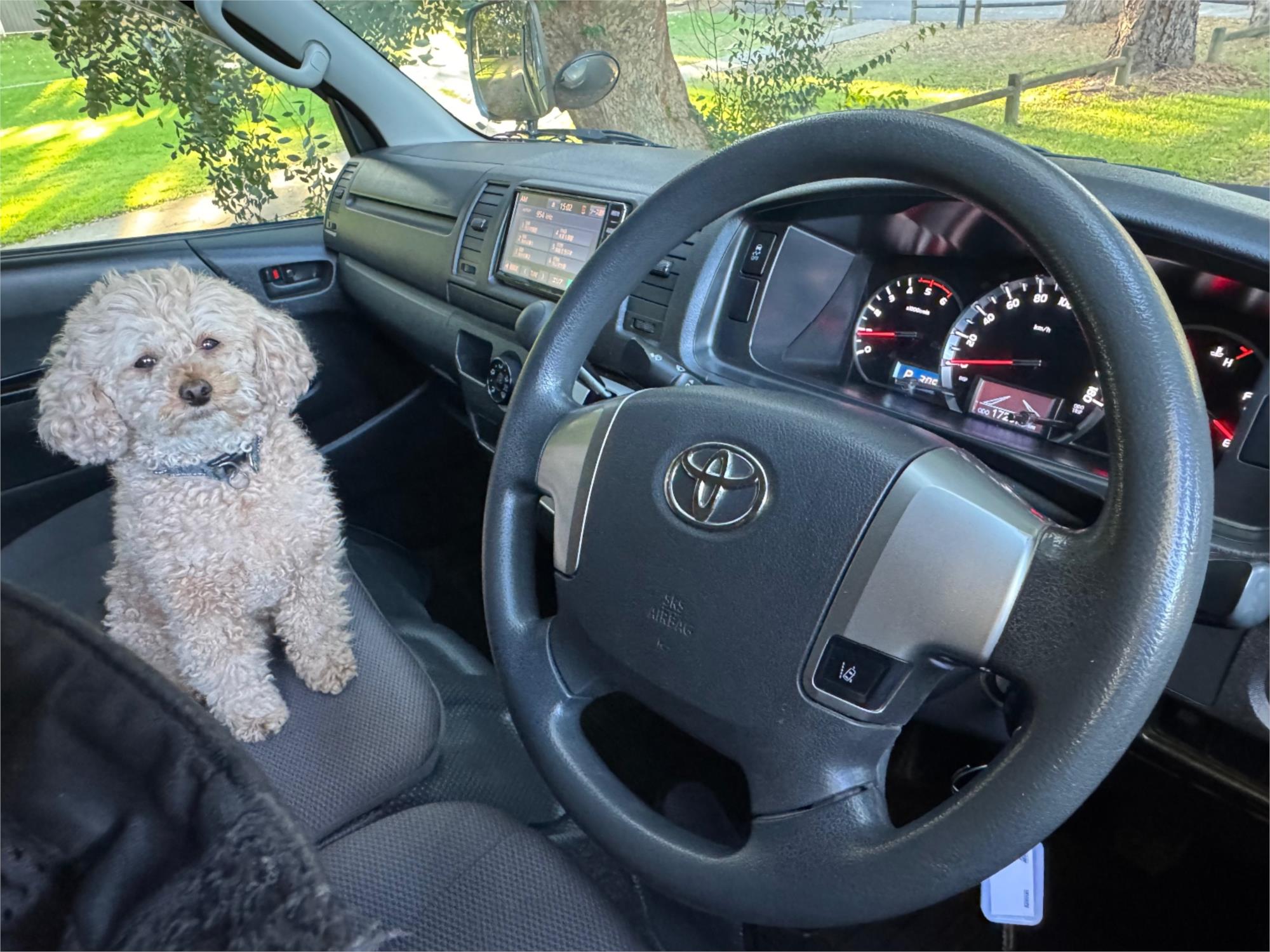 2019 TOYOTA HIACE GDH206R AUTOMATIC VAN