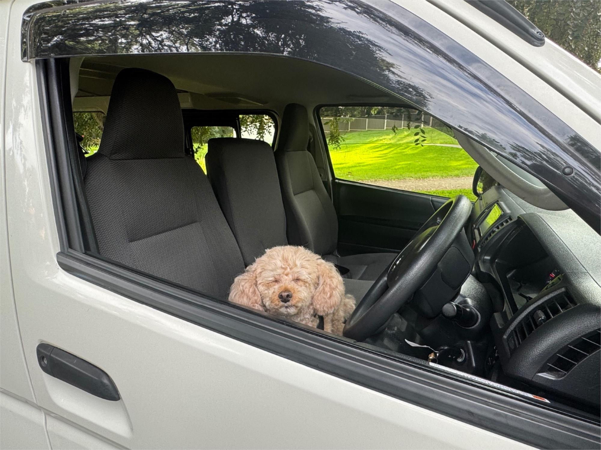2018 TOYOTA HIACE GDH206 6 SP AUTOMATIC VAN