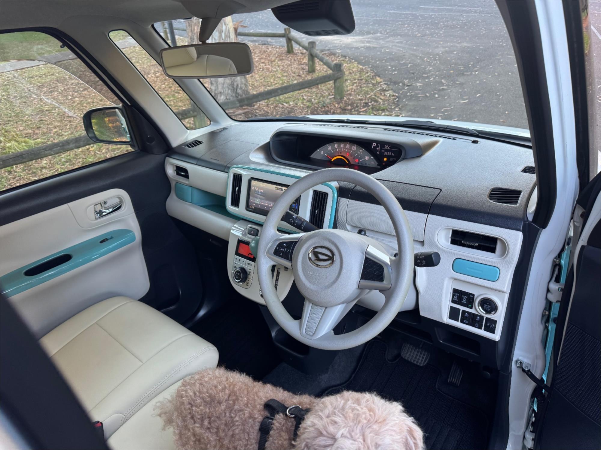 2019 DAIHATSU CANBUS KLA80 UPGRADE CLAZZIO EDITION AUTOMATIC WAGON