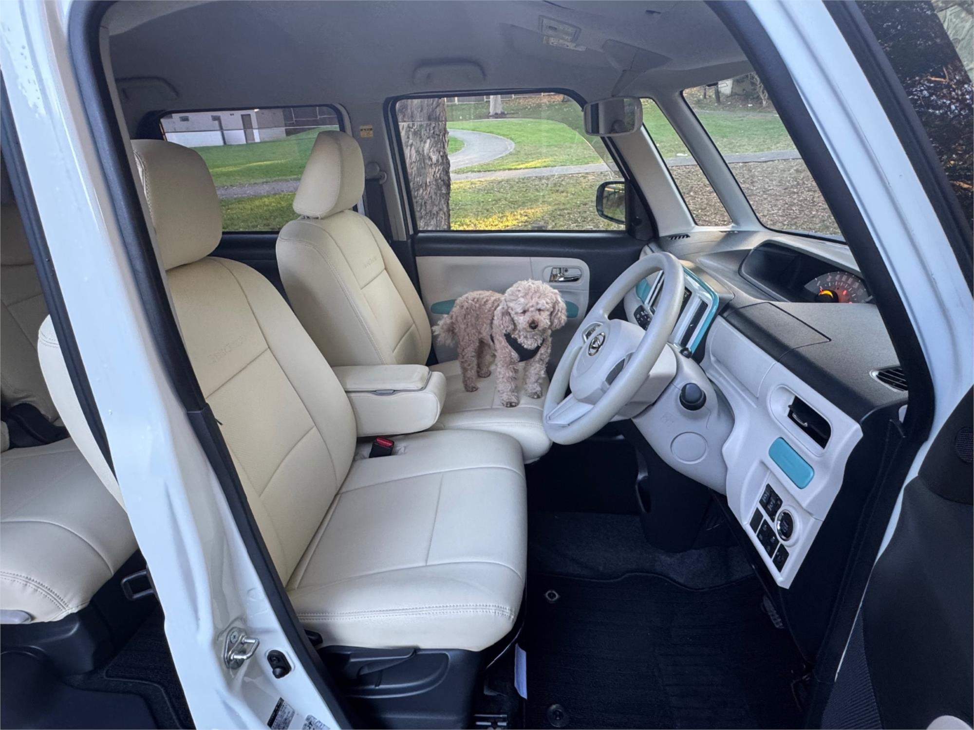 2019 DAIHATSU CANBUS KLA80 UPGRADE CLAZZIO EDITION AUTOMATIC WAGON