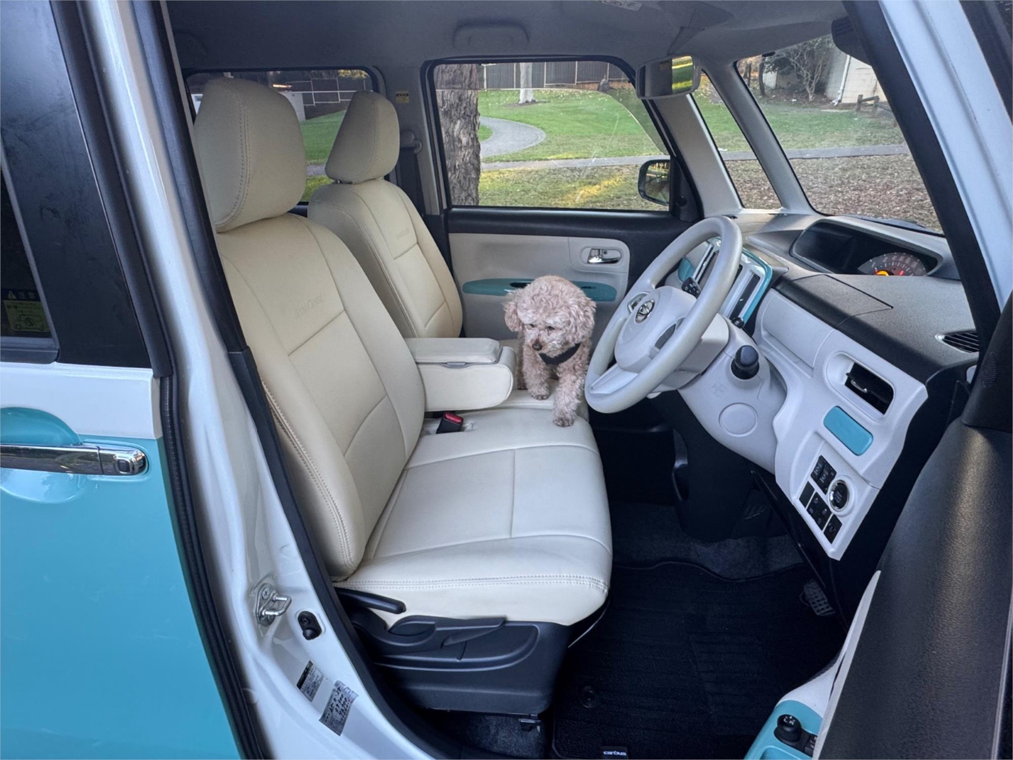 2019 DAIHATSU CANBUS KLA80 UPGRADE CLAZZIO EDITION AUTOMATIC WAGON