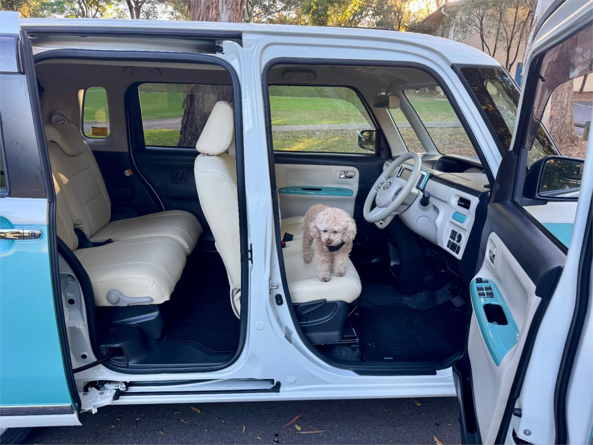 2019 DAIHATSU CANBUS KLA80 UPGRADE CLAZZIO EDITION AUTOMATIC WAGON
