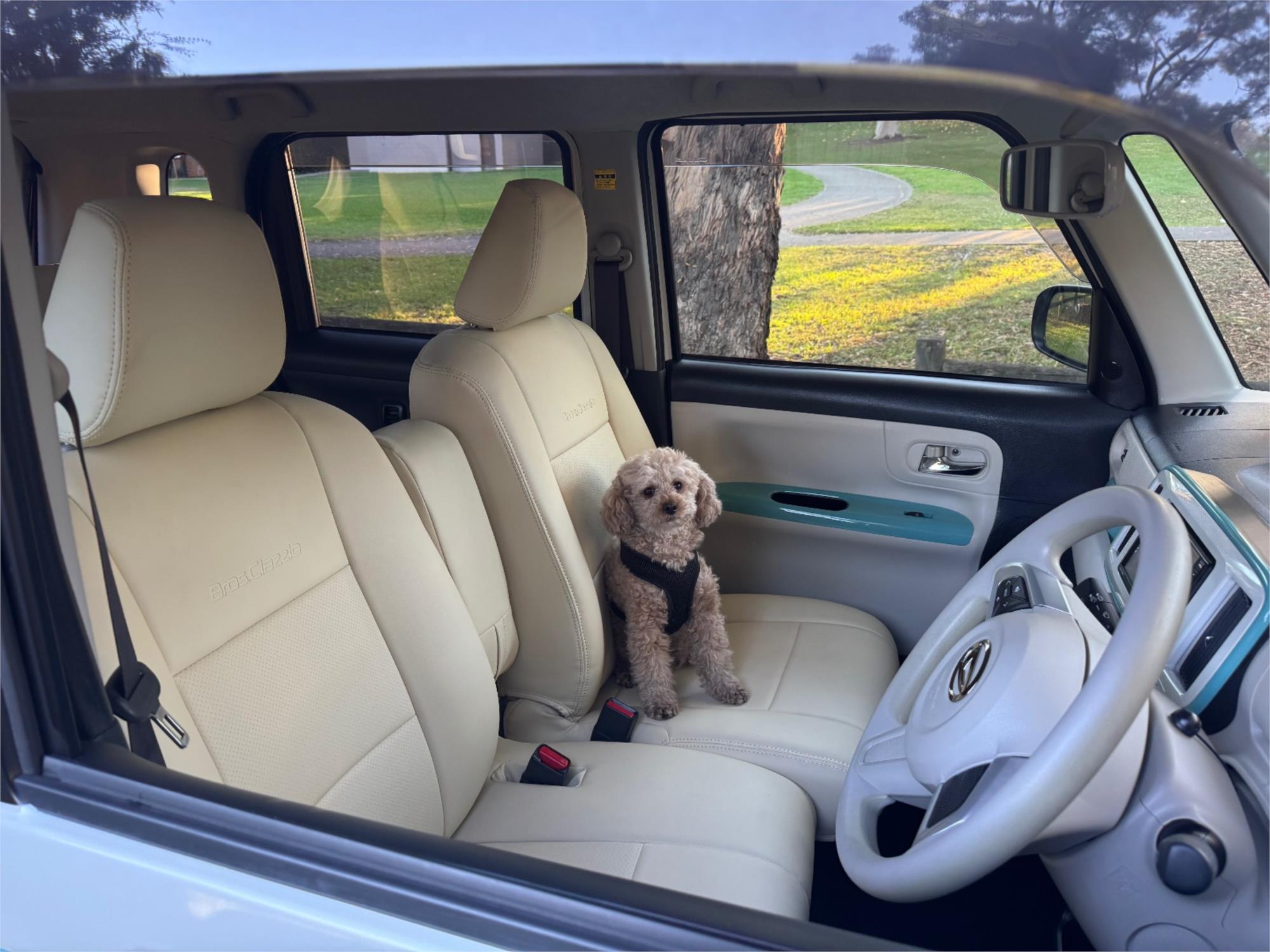 2019 DAIHATSU CANBUS KLA80 UPGRADE CLAZZIO EDITION AUTOMATIC WAGON