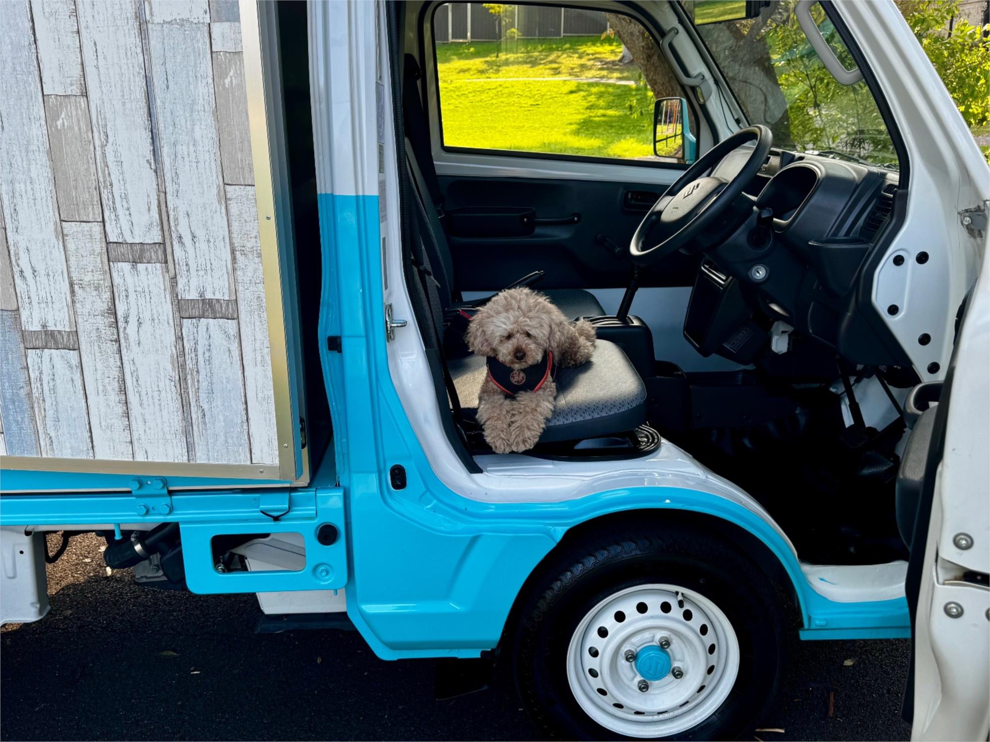 2023 SUZUKI CARRY DA16T KC 4 SP AUTOMATIC FOOD TRUCK