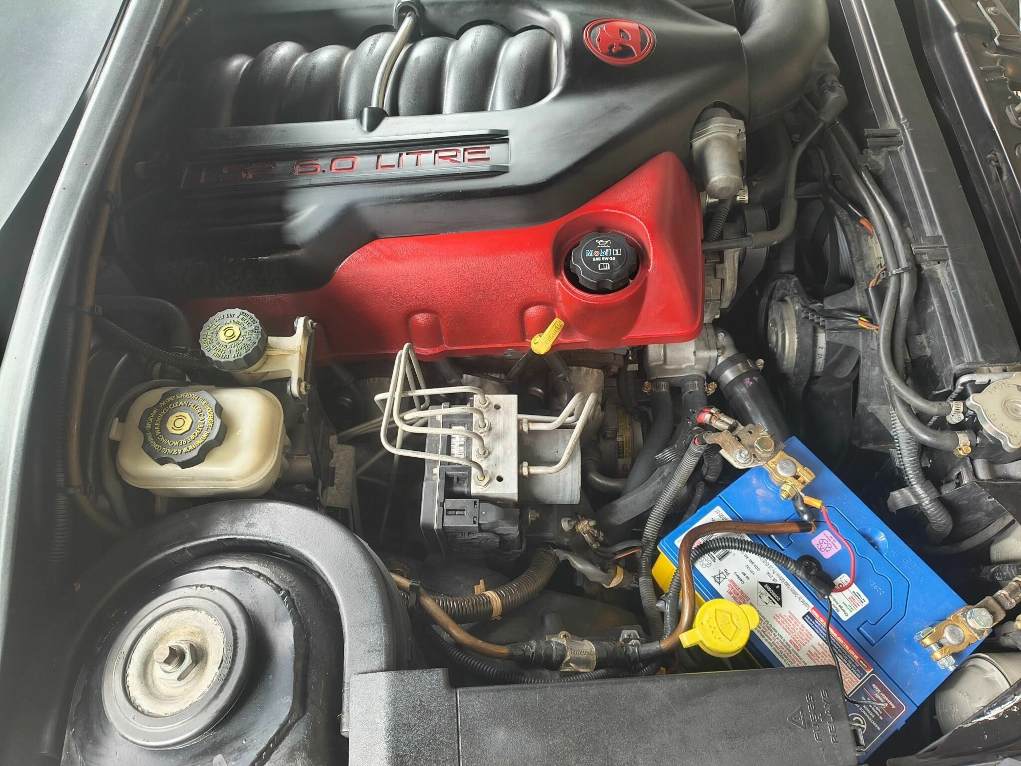 2006 HSV MALOO Z SERIES R8 6 SP MANUAL UTILITY
