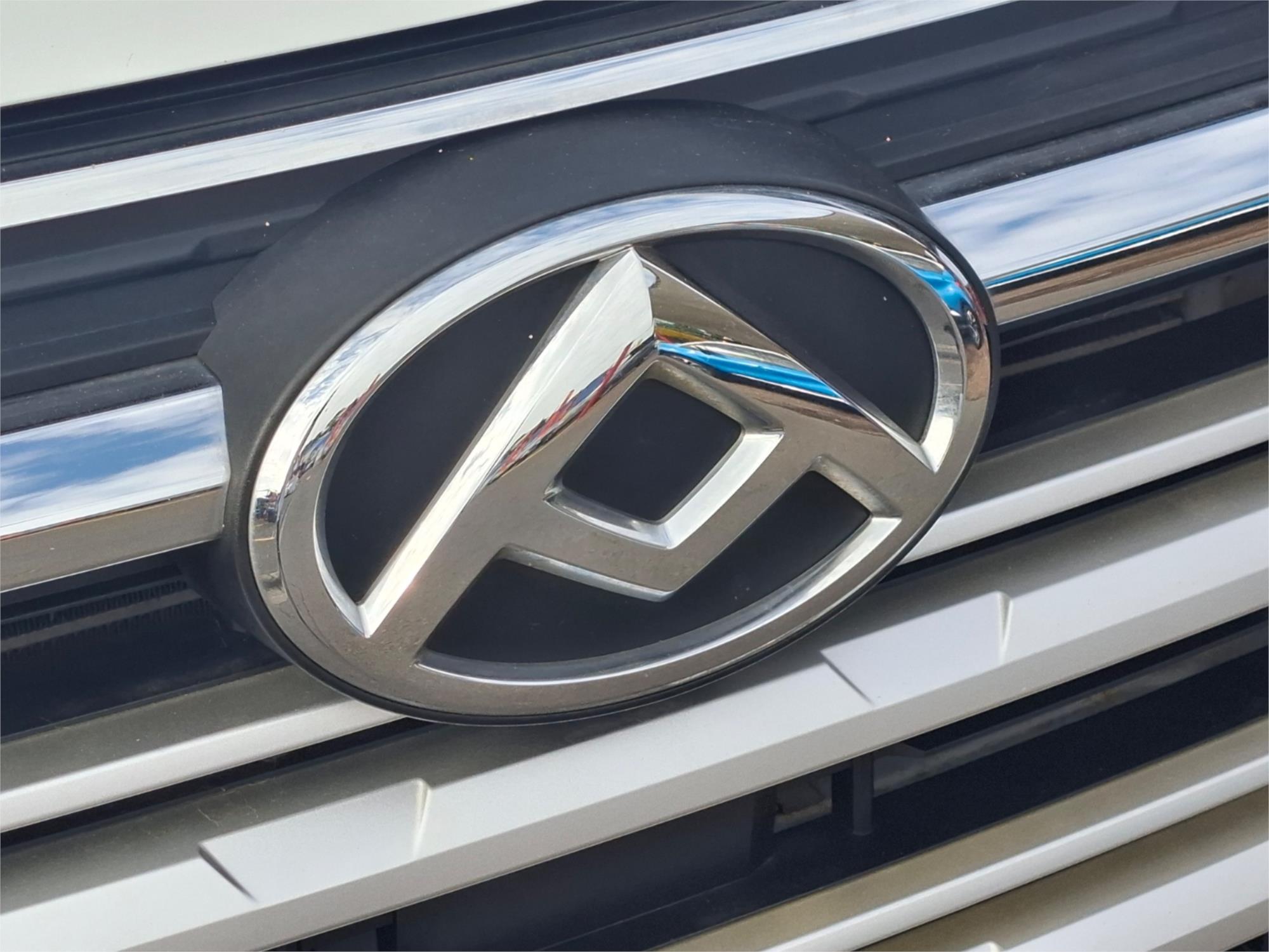 2021 LDV T60 SK8C MAX LUXE (4x4) 8 SP AUTOMATIC DOUBLE CAB UTILITY