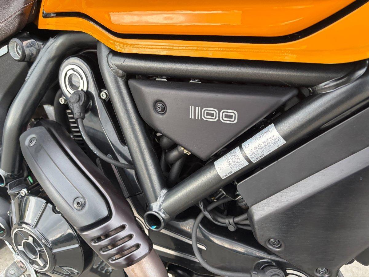 2022 DUCATI SCRAMBLER TRIBUTE PRO SPORTS