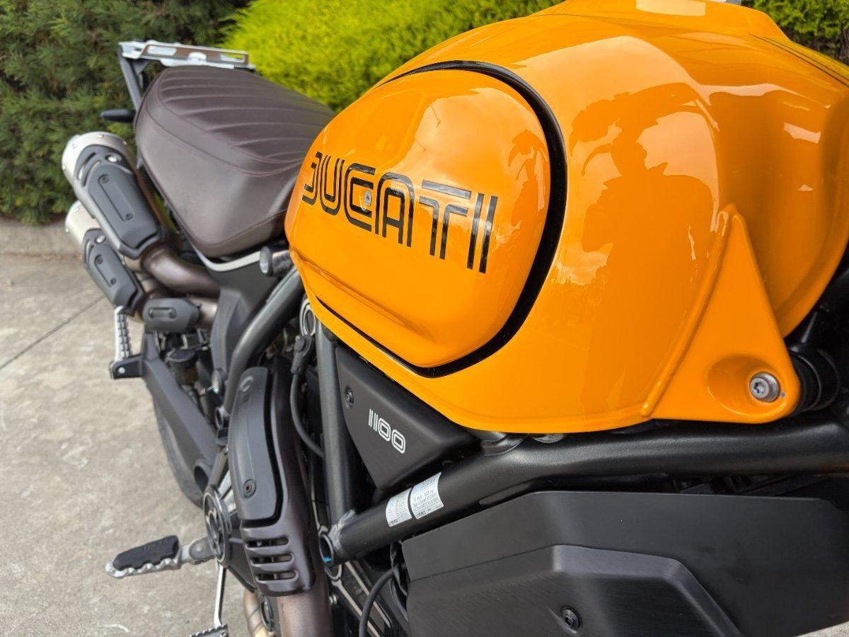 2022 DUCATI SCRAMBLER TRIBUTE PRO SPORTS
