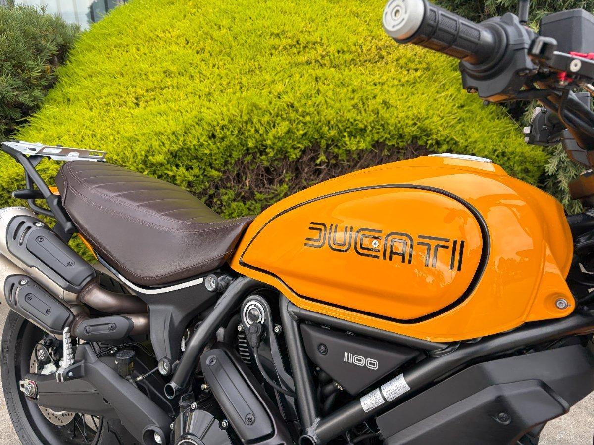 2022 DUCATI SCRAMBLER TRIBUTE PRO SPORTS