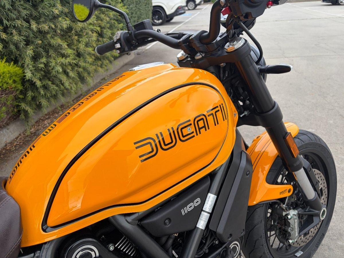 2022 DUCATI SCRAMBLER TRIBUTE PRO SPORTS