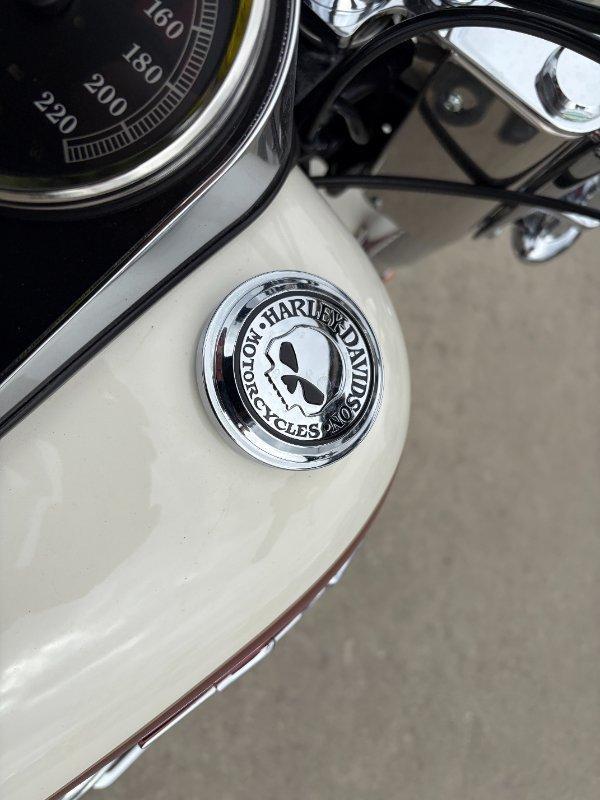 2013 HARLEY-DAVIDSON FLSTN SOFTAIL DELUXE CRUISER