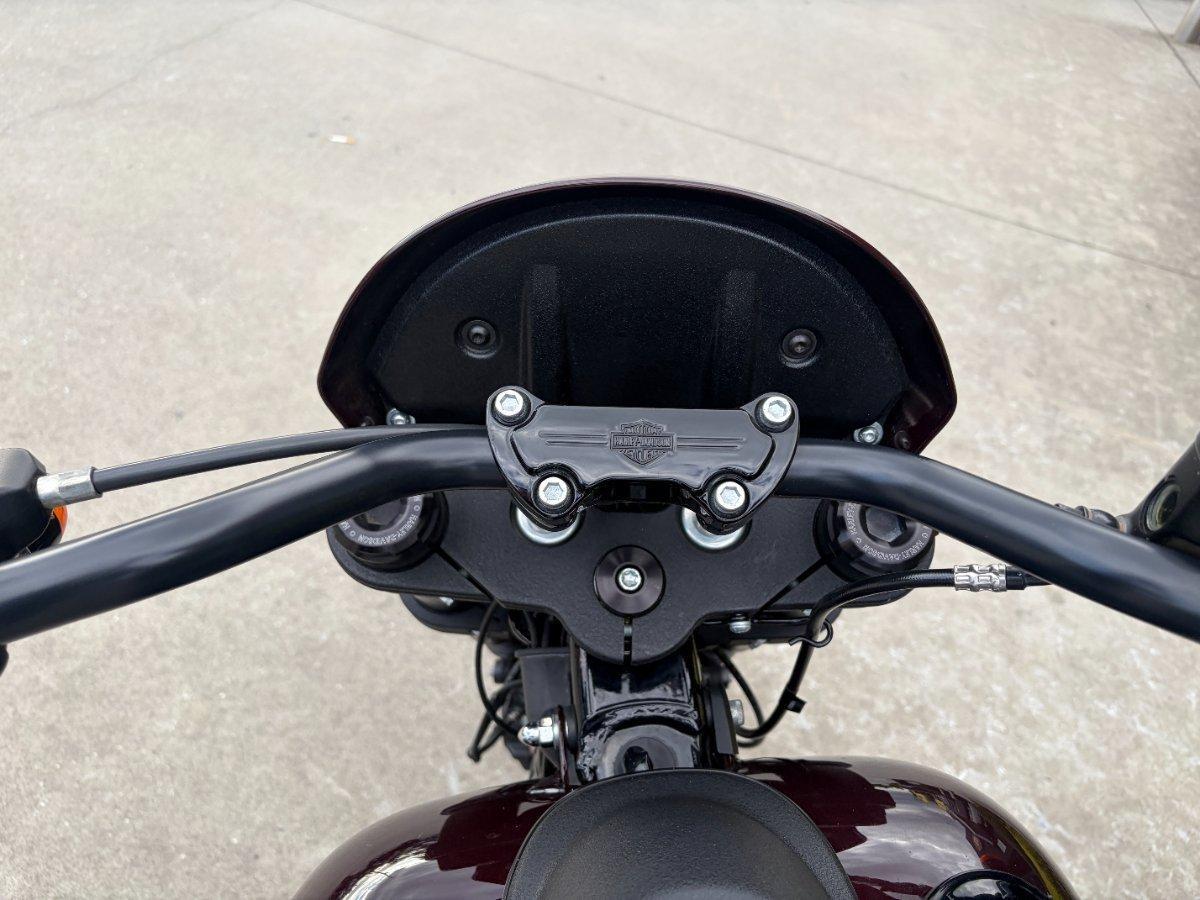 2021 HARLEY-DAVIDSON FXLRS LOW RIDER S (114) CRUISER