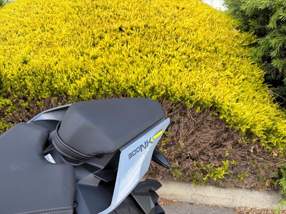 2026 CF MOTO 300 NK ABS ROAD