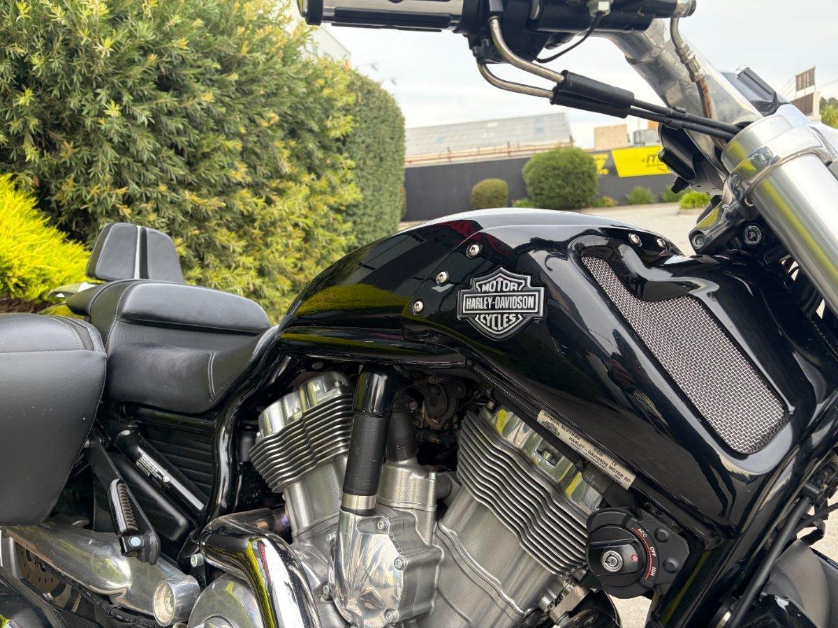 2015 HARLEY-DAVIDSON VRSCF MUSCLE CRUISER