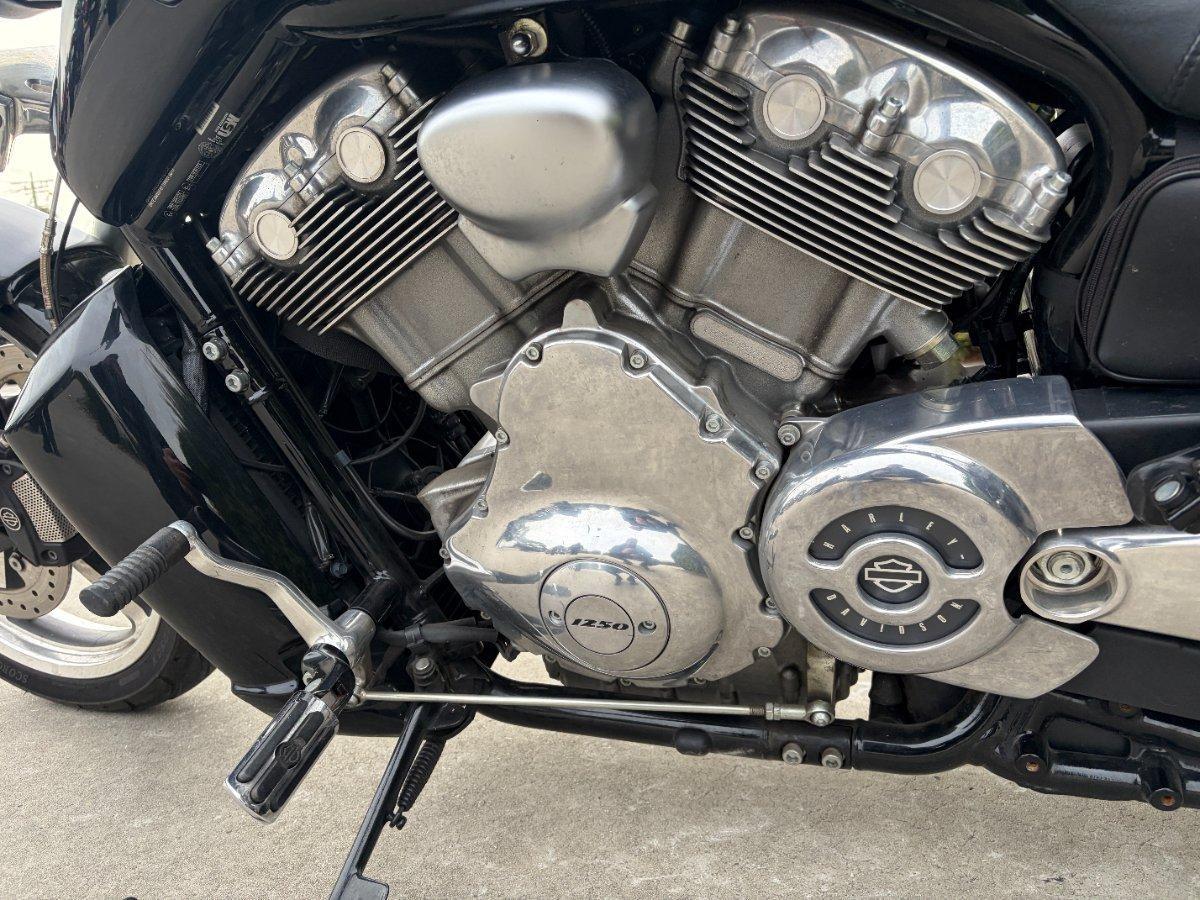 2015 HARLEY-DAVIDSON VRSCF MUSCLE CRUISER