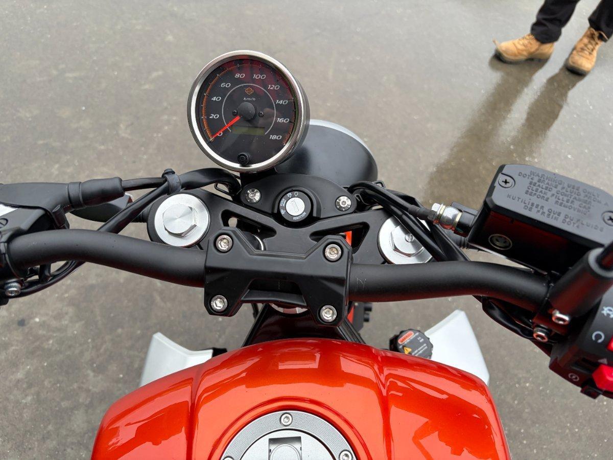 2025 HARLEY-DAVIDSON LWZX350 H-DX X350 CRUISER