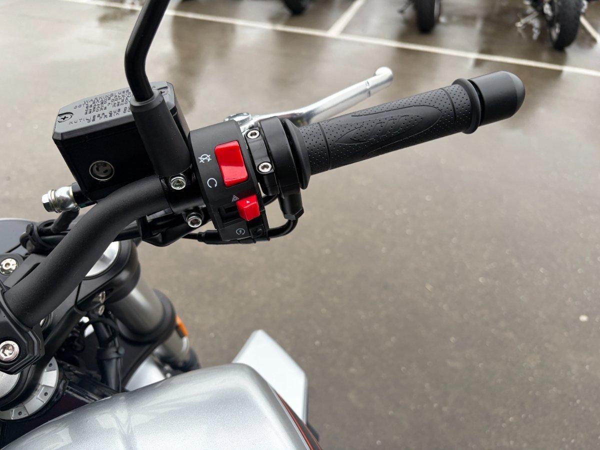 2025 HARLEY-DAVIDSON LWZX350 H-DX X350 CRUISER