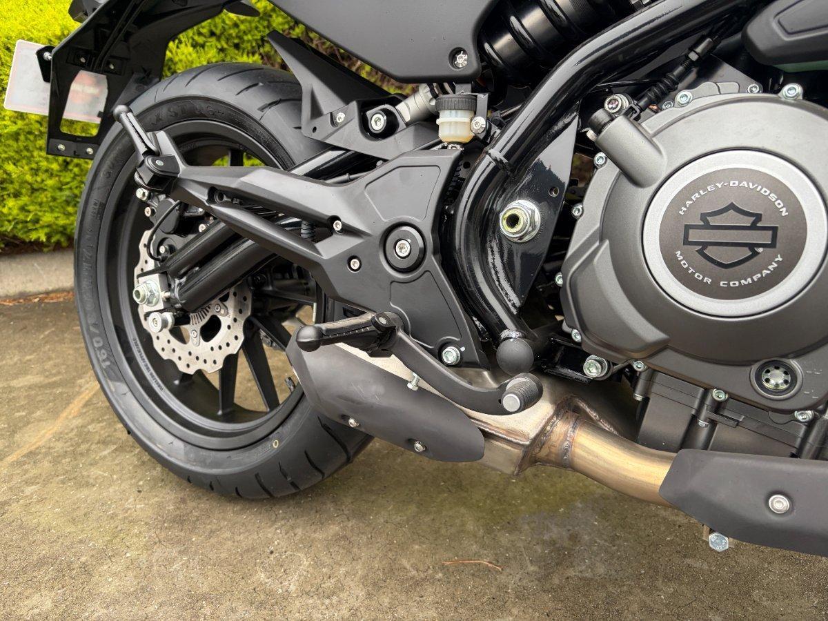 2025 HARLEY-DAVIDSON LWZX350 H-DX X350 CRUISER