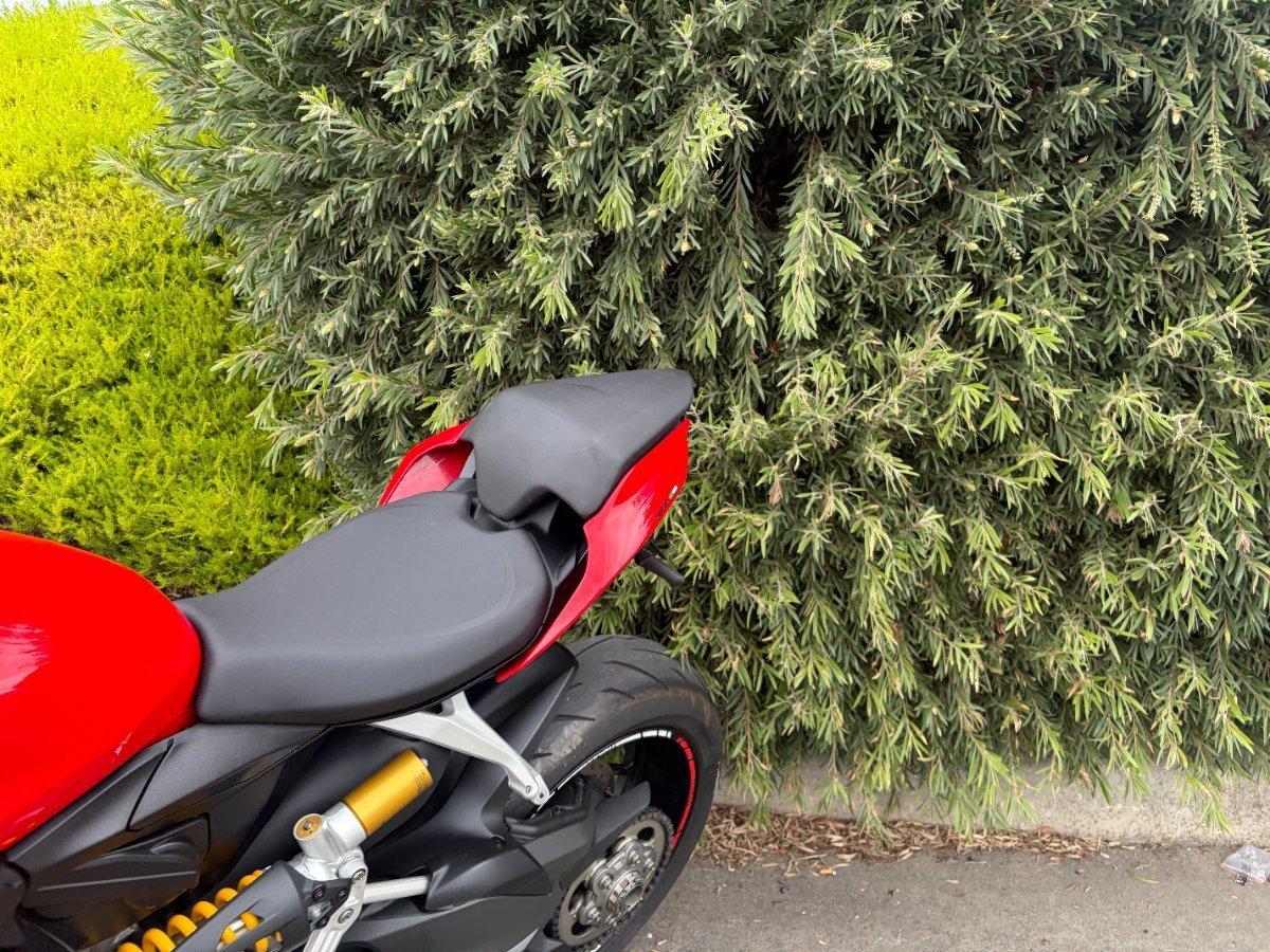 2022 DUCATI STREETFIGHTER V2 DUAL SPORTS