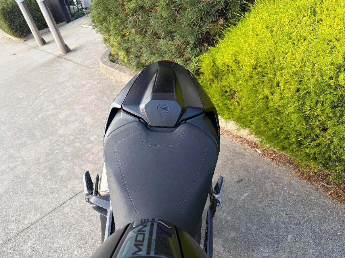 2023 DUCATI MONSTER + ROAD