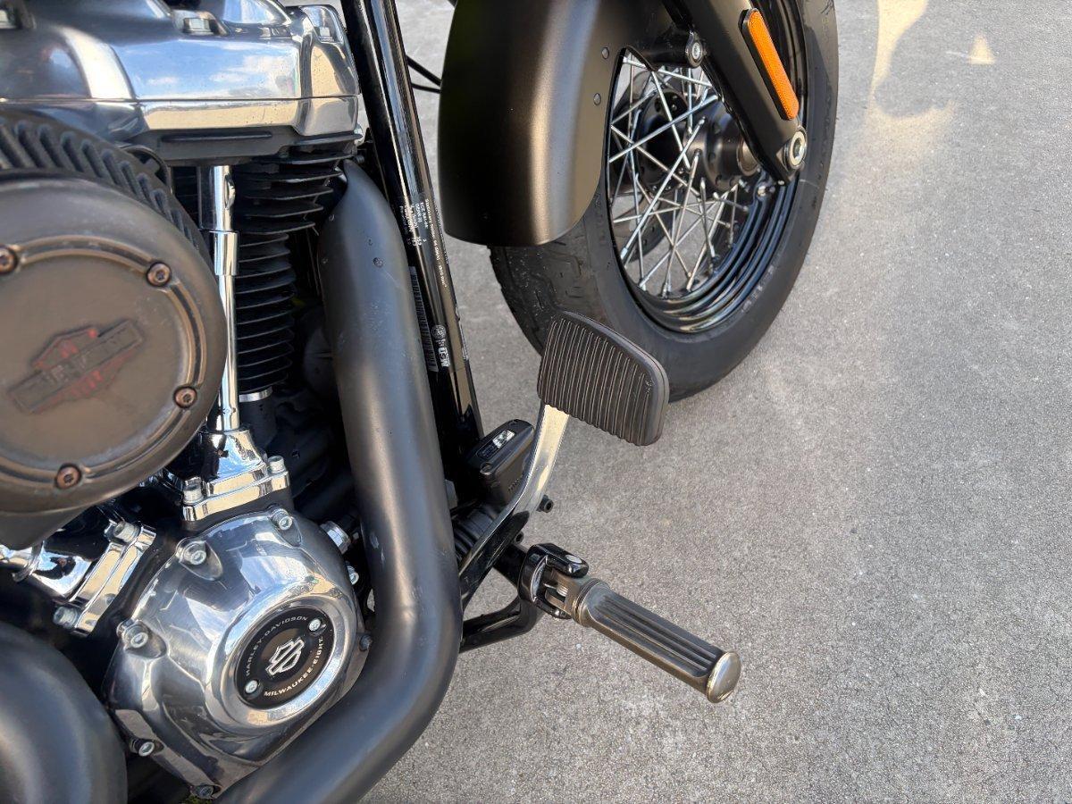 2021 HARLEY-DAVIDSON FLSL SOFTAIL SLIM (107) CRUISER