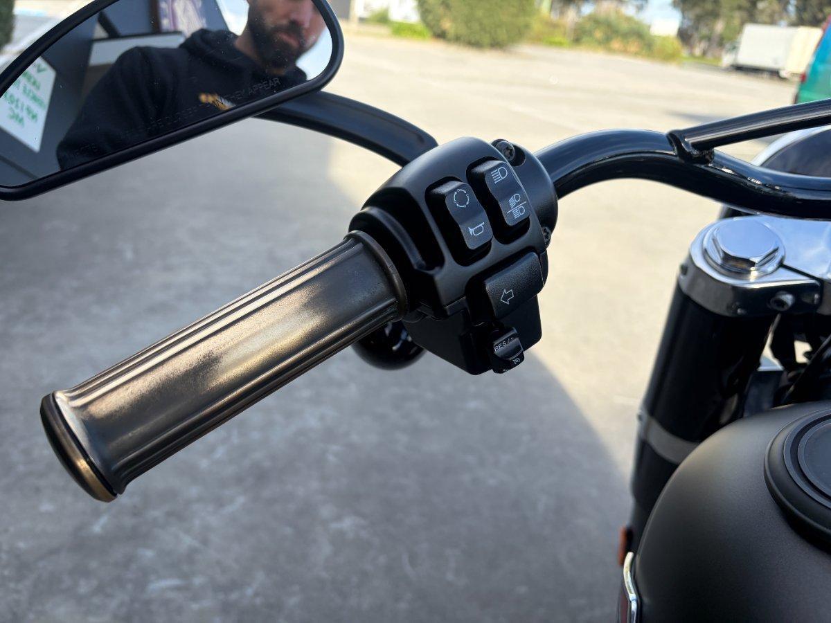 2021 HARLEY-DAVIDSON FLSL SOFTAIL SLIM (107) CRUISER