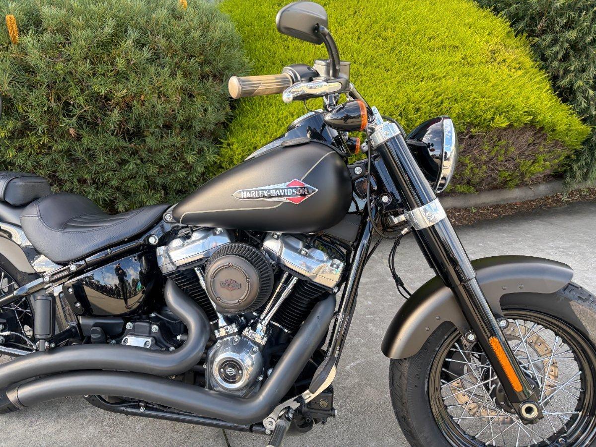 2021 HARLEY-DAVIDSON FLSL SOFTAIL SLIM (107) CRUISER