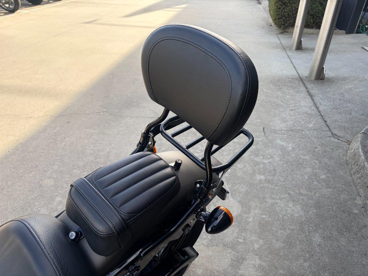 2021 HARLEY-DAVIDSON FLSL SOFTAIL SLIM (107) CRUISER