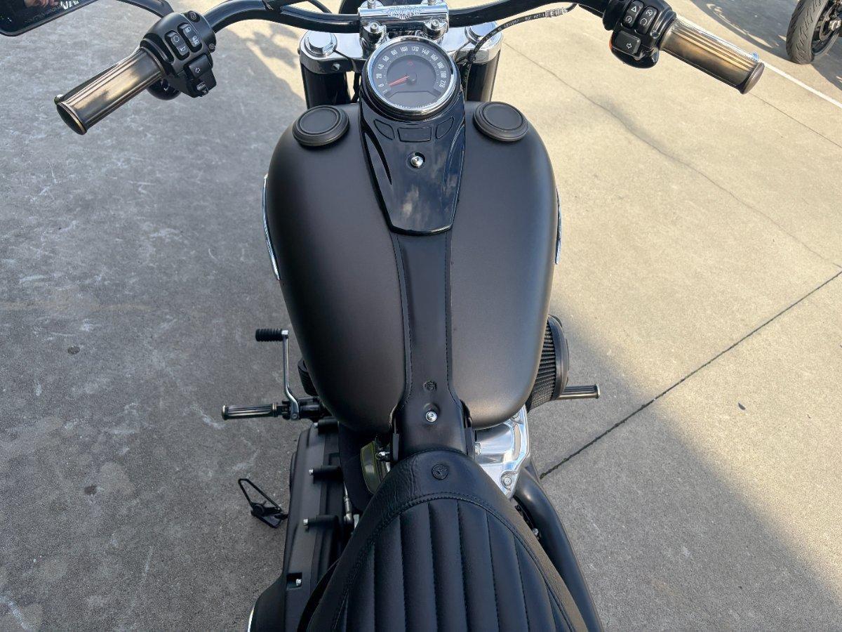 2021 HARLEY-DAVIDSON FLSL SOFTAIL SLIM (107) CRUISER